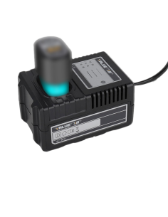 Chargeur de remplacement pour batteries au lithium