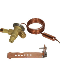 SANHUA RFKA 04 THERMOSTATIC VALVE