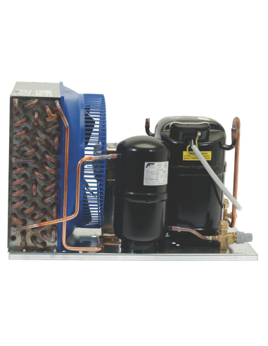 Unidad de refrigeración EMBRACO-ASPERA NJ6226ZX