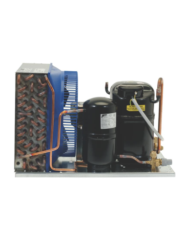 Unidad de refrigeración EMBRACO-ASPERA NJ2212GS