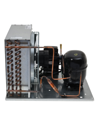 Unidad de refrigeración EMBRACO-ASPERA NEK6217U