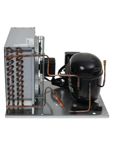 Unidad de refrigeración EMBRACO-ASPERA NT2180U