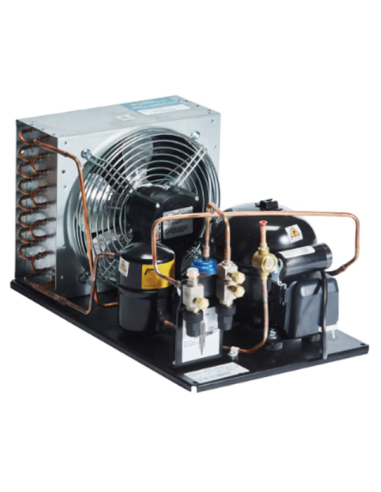 Unidad de refrigeración EMBRACO-ASPERA NTX2213U