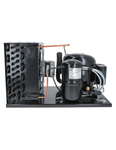 Gruppo Frigo TECUMSEH AE2425Z