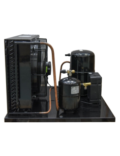 Gruppo Frigo TECUMSEH TAG2513Z