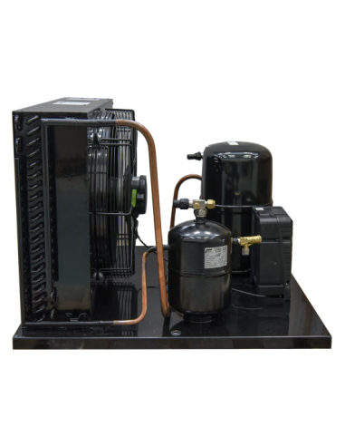 TECUMSEH TAG2513Z Refrigeration Unit