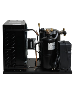 Gruppo Frigo TECUMSEH CAJ4492Y