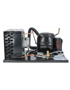 Gruppo Frigo TECUMSEH THB4419Y