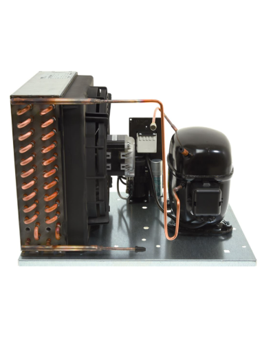 Gruppi Frigo SECOP SC21G